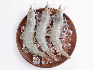 进口厄瓜多尔白虾大虾鲜活超大四斤海鲜对虾水产冻虾鲜虾基围虾