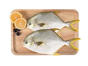 广东金鲳鱼500g(2条装) 海鲜水产 鱼肉 整鱼 冷冻鱼