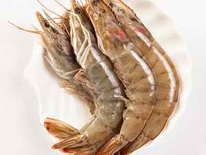 南美厄瓜多尔白虾 基围虾鲜活 海虾鲜虾 新鲜海鲜进口海捕大虾4斤